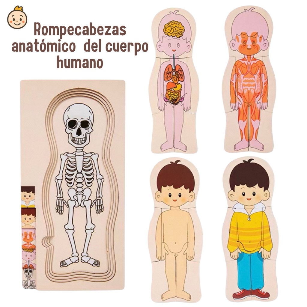 🧩✨ Rompecabezas Educativo del Cuerpo Humano