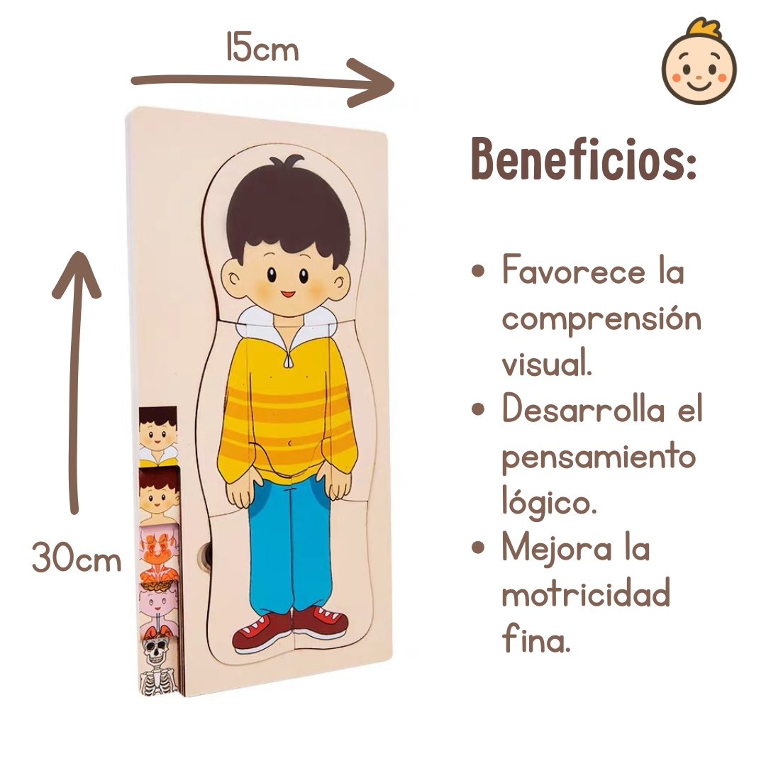 🧩✨ Rompecabezas Educativo del Cuerpo Humano