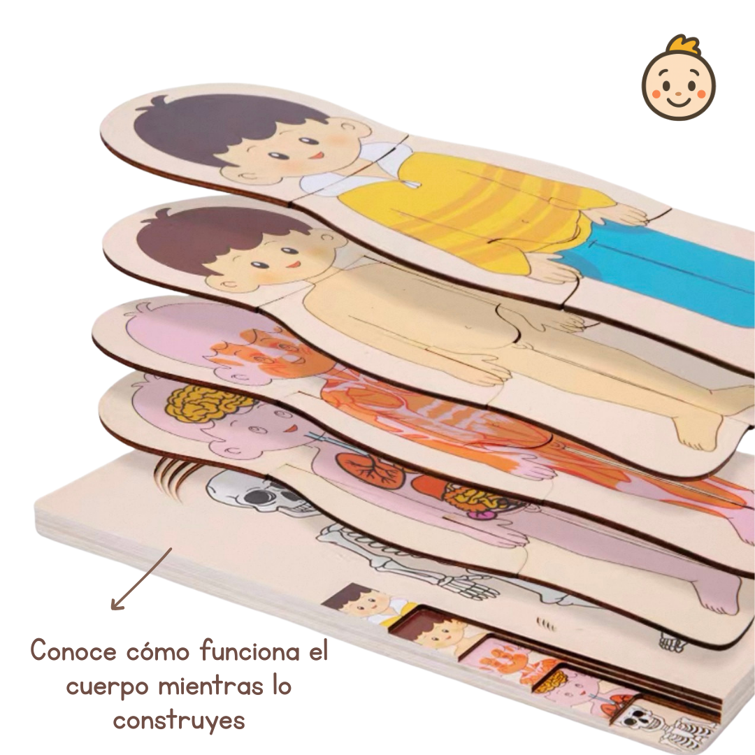 🧩✨ Rompecabezas Educativo del Cuerpo Humano