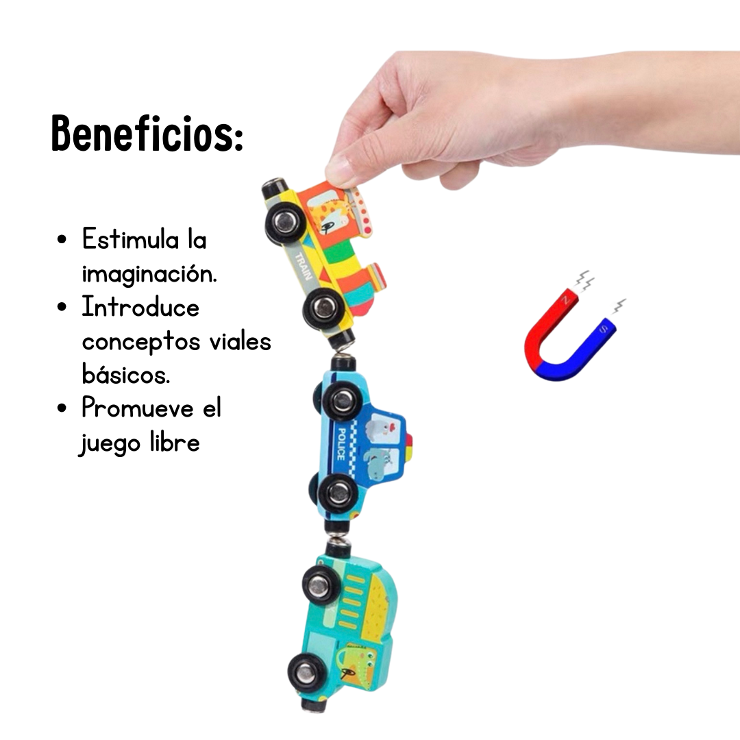 Set de Vehículos y Señales de Madera